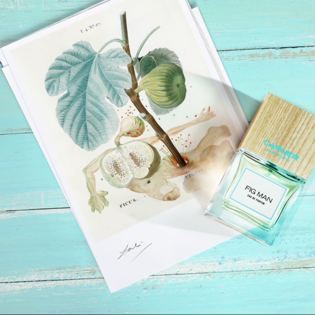FIG MAN Eau de Parfum - Carner Barcelona