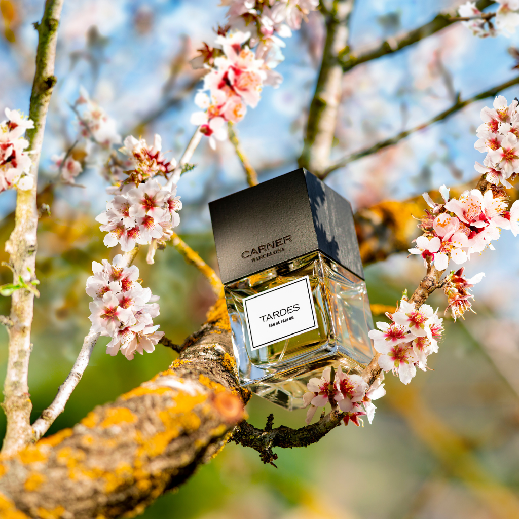 TARDES Eau de Parfum - Carner Barcelona